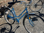Schwinn Collegiate