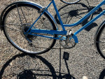 Schwinn Collegiate