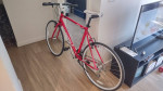 Schwinn Herald Elite