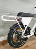 Cool 750w 20AH Samsung Battery Tough Ebike E bike 750w 20AH