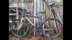 Mongoose impasse 29