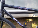 Giant farrago    afs.     Ready to ride