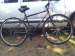 Giant farrago    afs.     Ready to ride