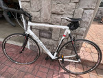 Fuji Roubaix Pro