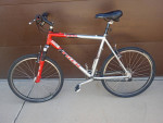 Trek 4900