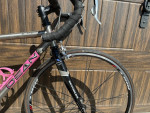 Dean Titanium El Diente Road Bike