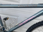 Specialized stump jumper mountain bike