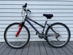 Raleigh Mountain Bike