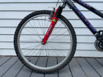 Raleigh Mountain Bike