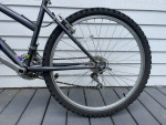 Raleigh Mountain Bike