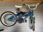20" NEXT Girls' Girl Talk Bike