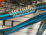 20" NEXT Girls' Girl Talk Bike