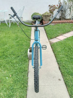 Beach Cruiser