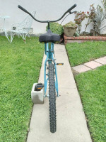 Beach Cruiser