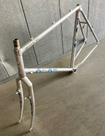 Alan Adventure Mountain Bike Frameset Vintage MTB 21”