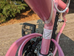 Raleigh Eva 2.0 Women's Bike