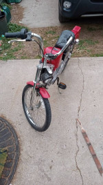 1994 Roadmaster Harley Davidson bicycle