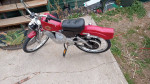 1994 Roadmaster Harley Davidson bicycle