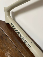 2022 Wilier Rave SLR Frameset - XL