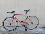 54cm Bianchi Trofeo Fixie