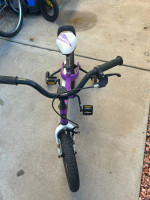 16 inc royalrider bike