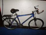 Raleigh M 80
