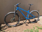 Spot Rocker Singlespeed 29er