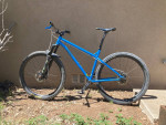 Spot Rocker Singlespeed 29er