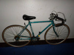 Schwinn World Sport Text or call no email
