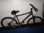 Schwinn Sidewinder