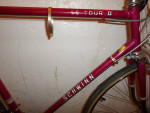 Schwinn Le Tour 11