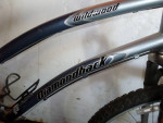 Diamondback Wildwood