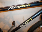 Scott Tampico