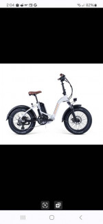 RAD POWER BIKE MINI 2 STEP THRU