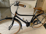 Hybrid bike