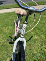 Schwinn Hulu