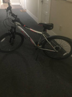 All kinds of bikes for sale