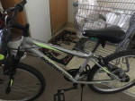 All kinds of bikes for sale