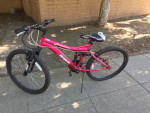 All kinds of bikes for sale