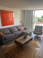 leaving town monday - bed, credenza, sleeper sofa!