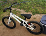 18" Royalbaby Freestyle Kids Bike!