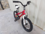 Kids Royal Rider 16in Wheels🦅