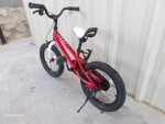 Kids Royal Rider 16in Wheels🦅