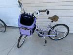 Women Suede DX Giant Bike w/ Pet Carrier