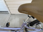 Women Suede DX Giant Bike w/ Pet Carrier