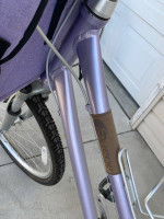Women Suede DX Giant Bike w/ Pet Carrier