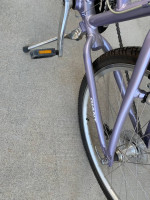 Women Suede DX Giant Bike w/ Pet Carrier
