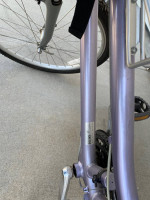 Women Suede DX Giant Bike w/ Pet Carrier