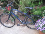 Specialized Globe Vienna 2 22.5"fm 24sp 700x38c hybrid bike