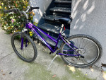 Schwinn Women’s Bicycle